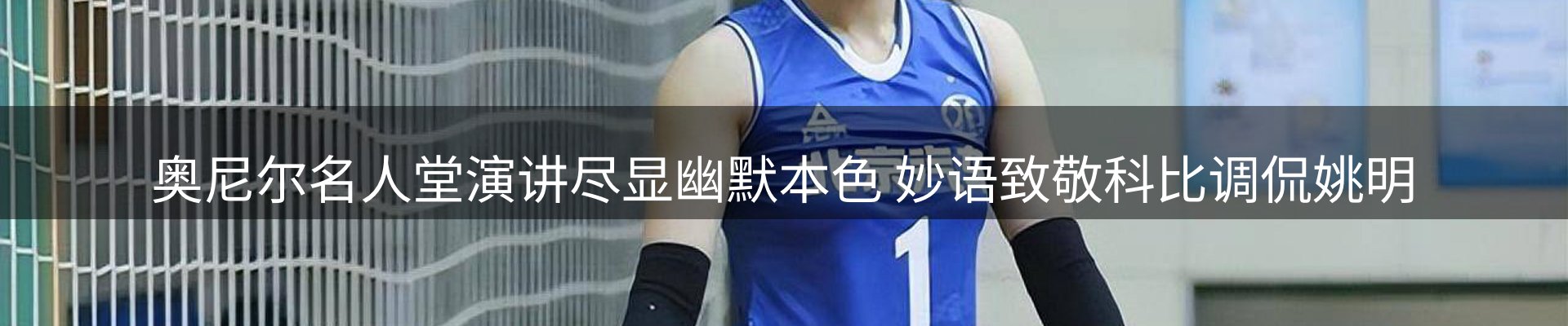 新闻总览