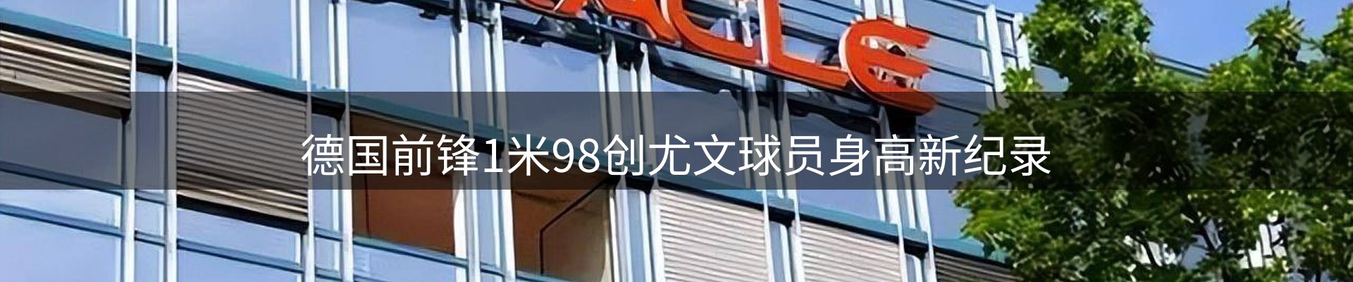 新闻总览