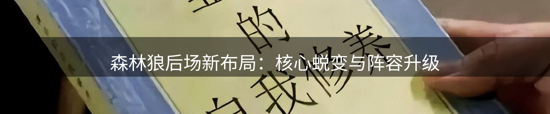 新闻总览