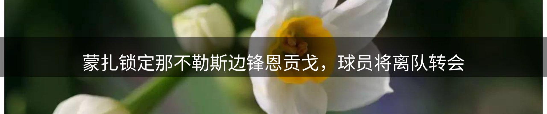 平台资讯